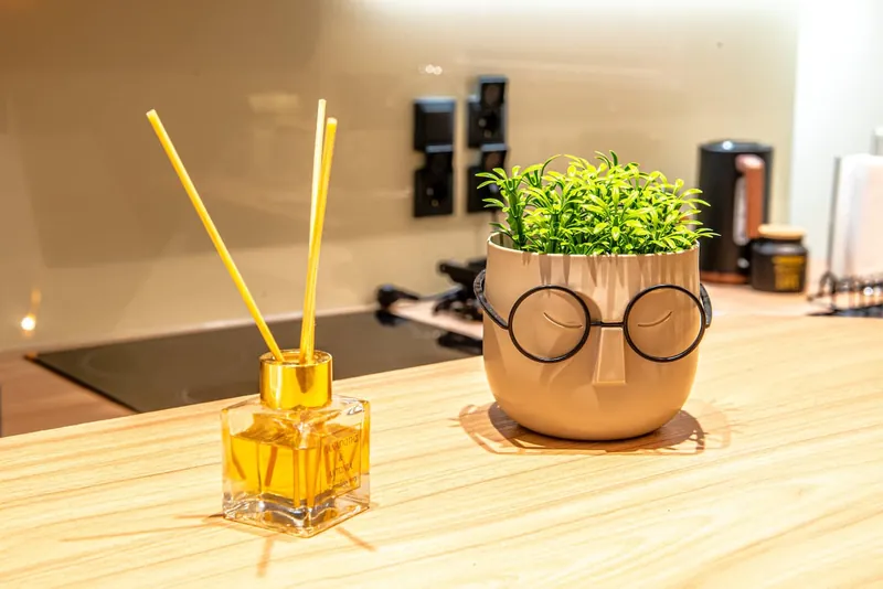 The kitchen counter with a diffuser and a plant